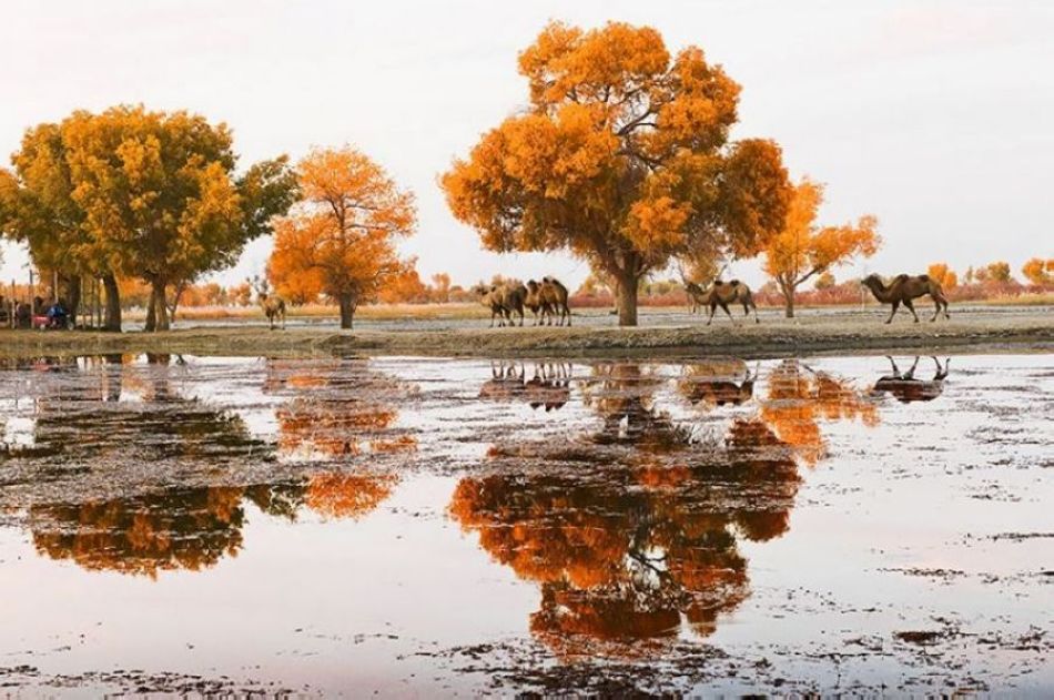 ���Ӱ��ߺ���