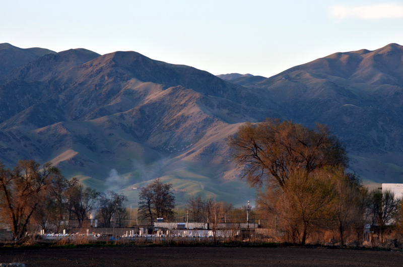 Сũ��  ������