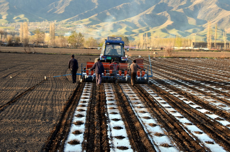 ��    ������