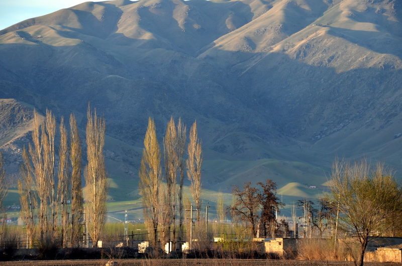 ����ũ��  ������