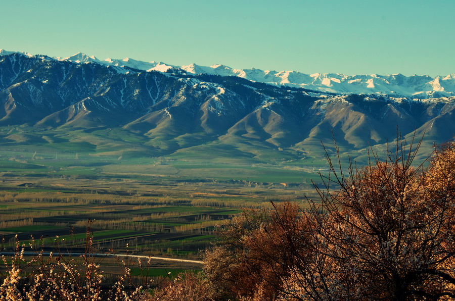 ��������