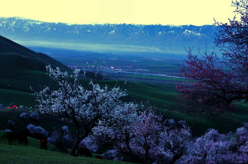 �ӻ���  ������