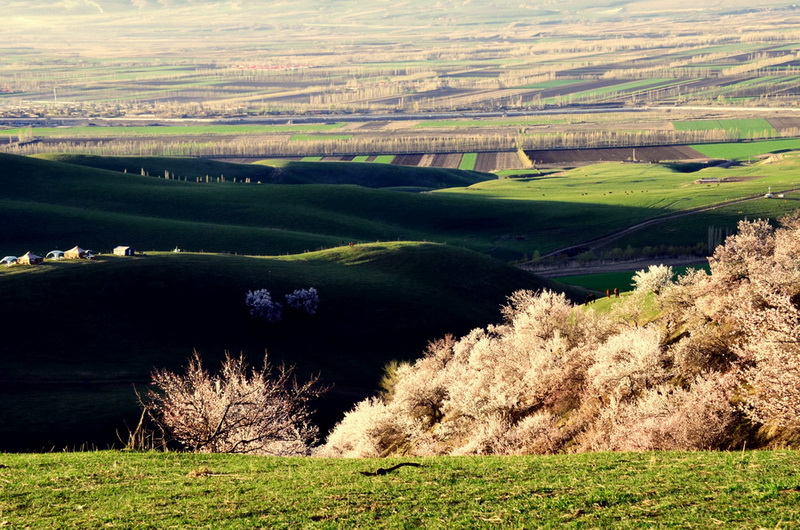 �ӻ���   ������