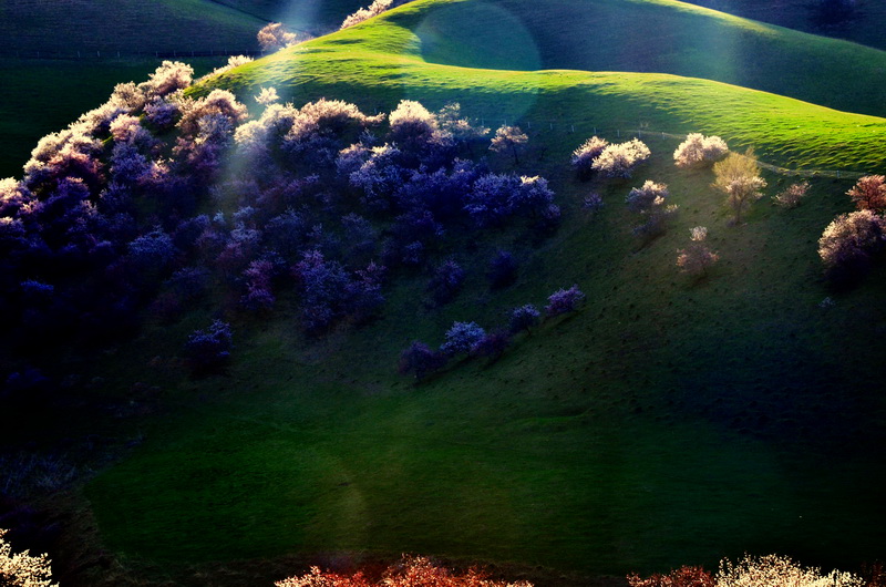 ϼ��    ������