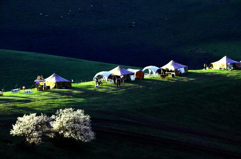 ��   ������