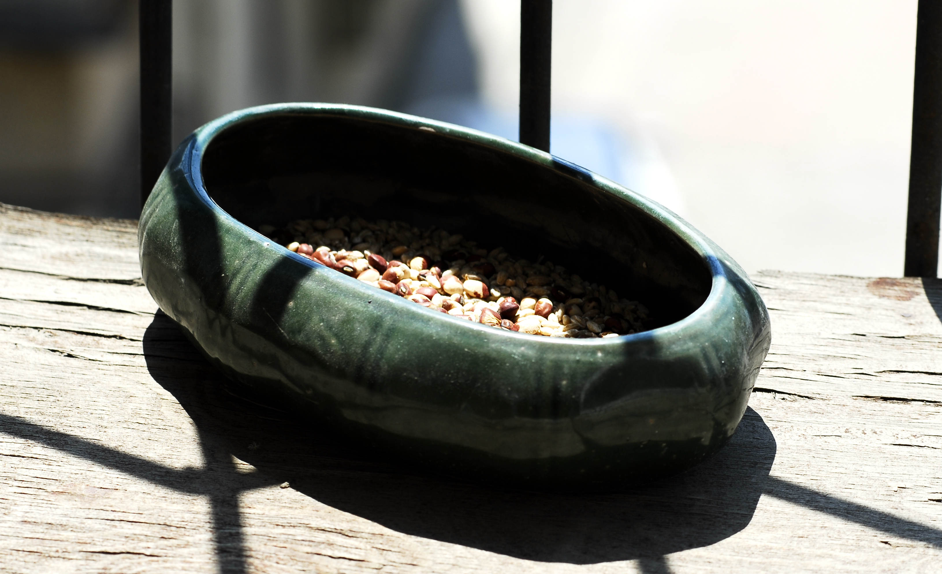 ˮ�۸ĳ���ʳ��