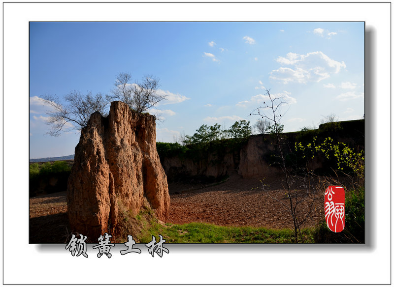 �������� 113_����.jpg