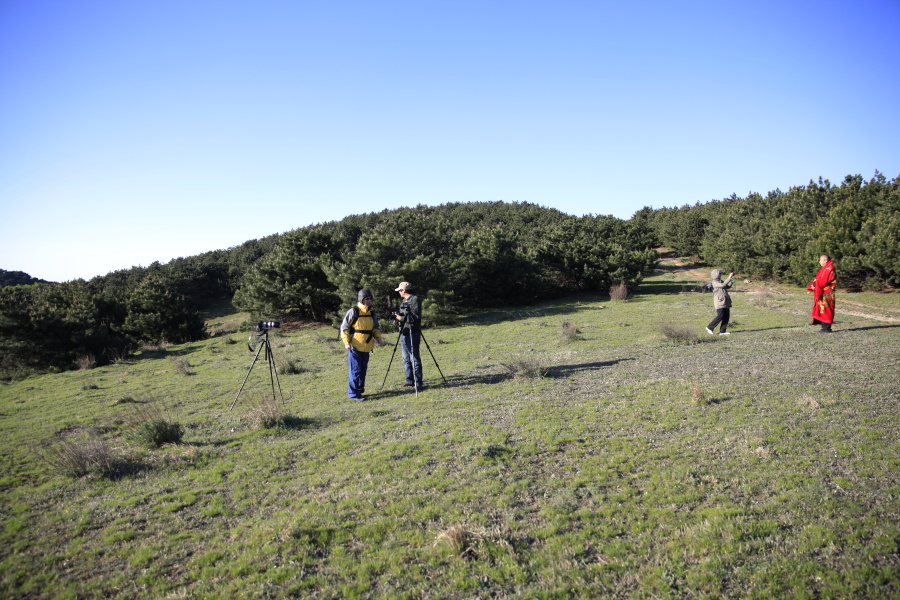 _MG_5629.JPG