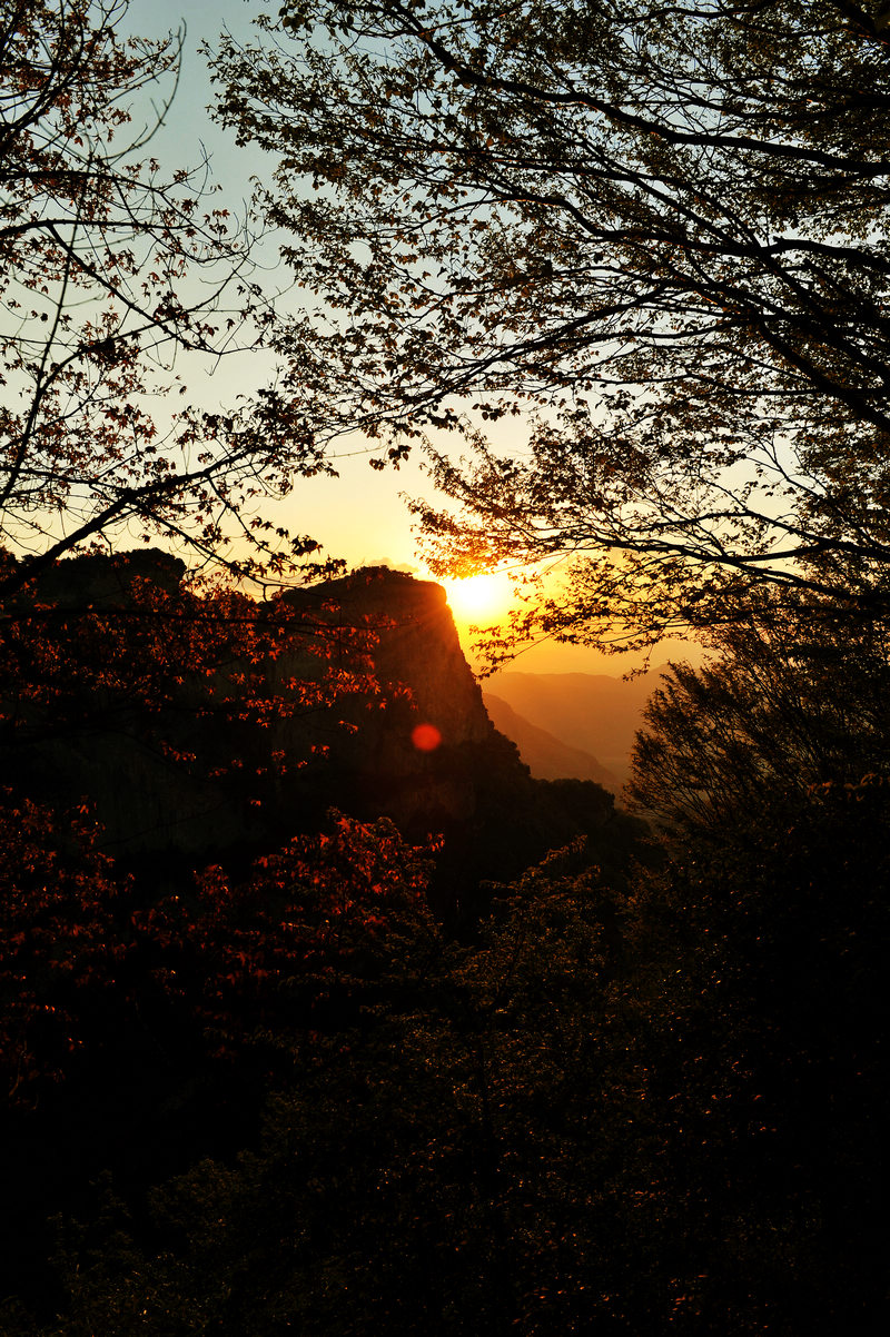 DSC_8823.jpg