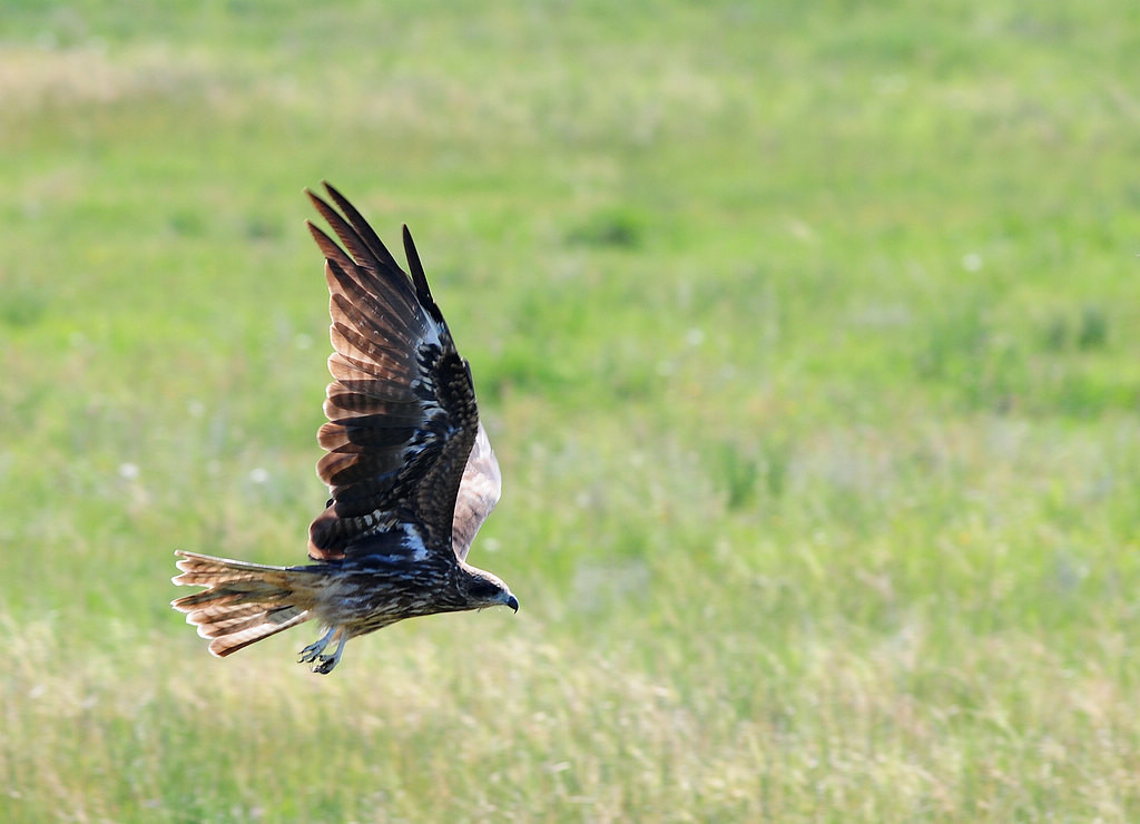 3DSC_0436  5.jpg