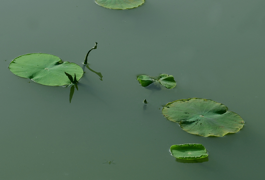 1._H100943.jpg