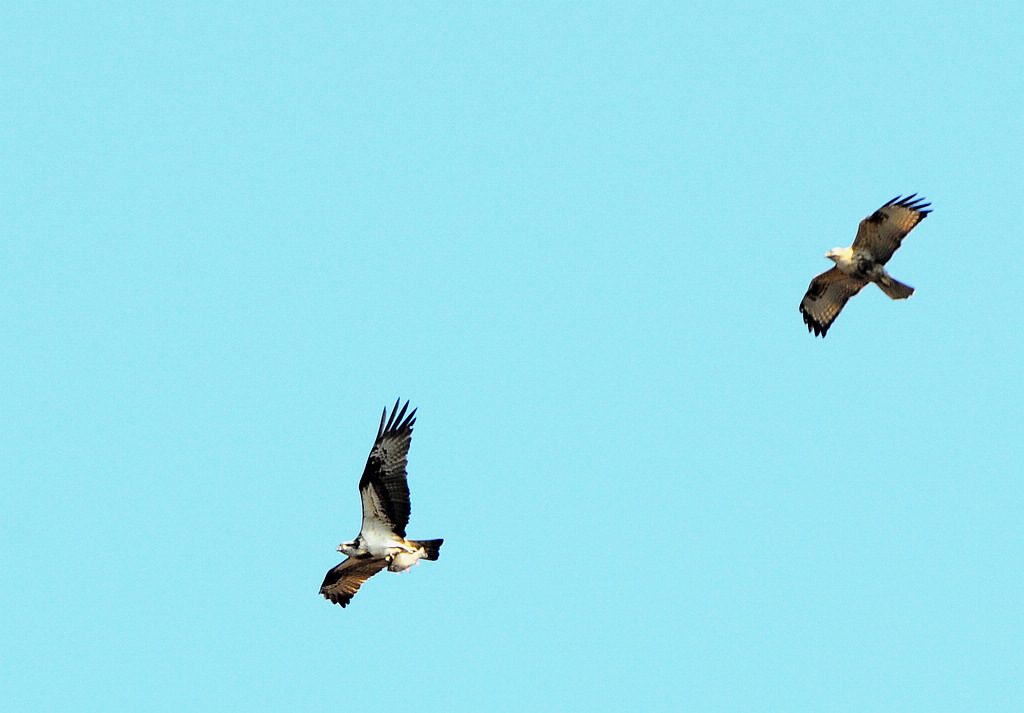 5DSC_0158  4.jpg