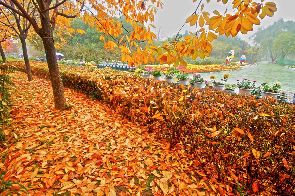 DSC07266_.jpg