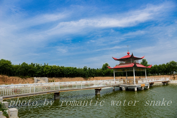DSC_9830.jpg