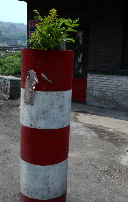 DSC_6841_conew1.jpg