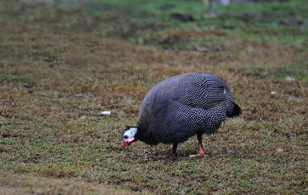 7DSC_0128  3.jpg