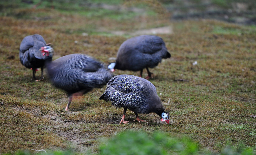 7DSC_0121  2.jpg