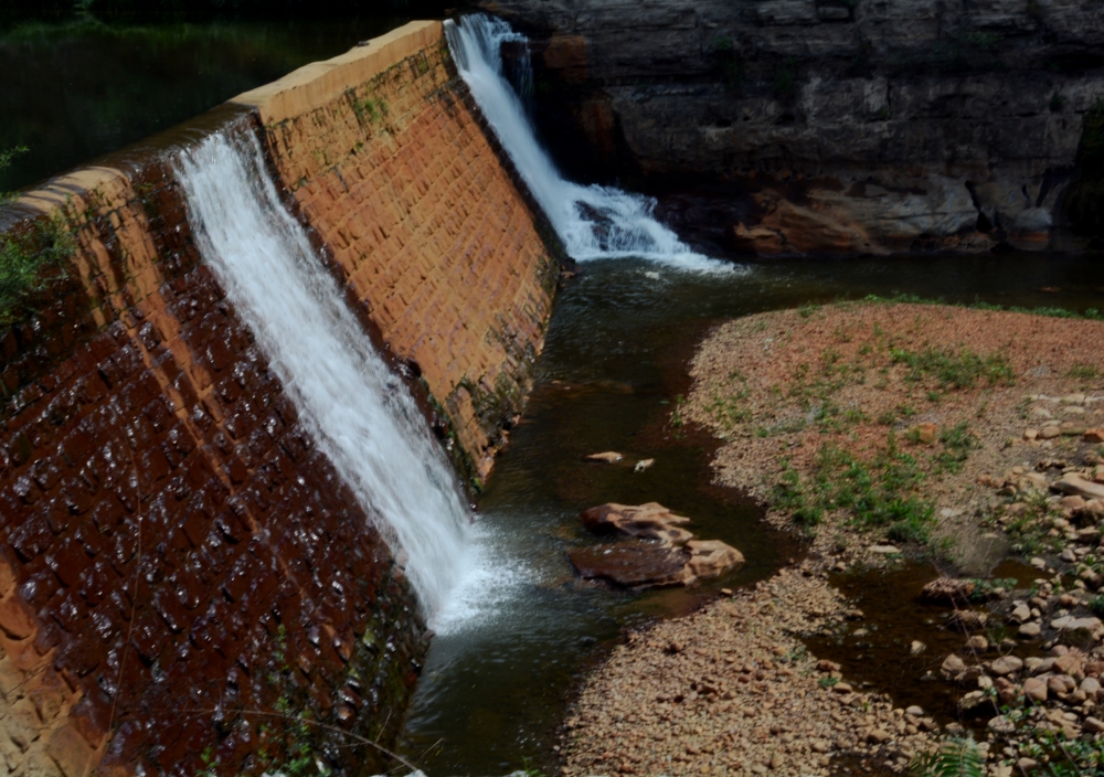 Ƭ 096_conew1.jpg
