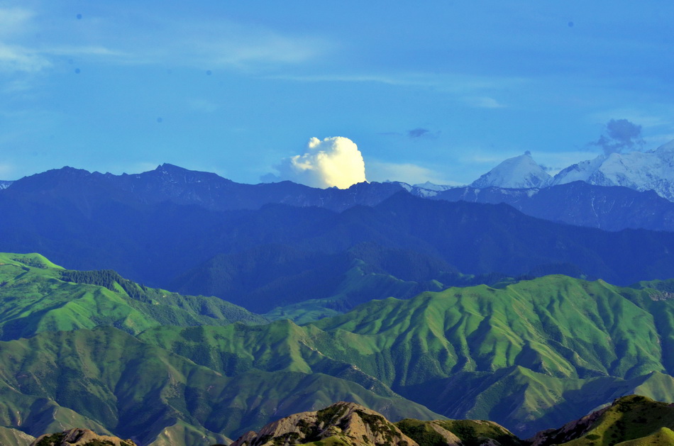 ��Ȥ    ������