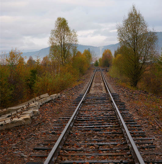 DSC03021_.jpg
