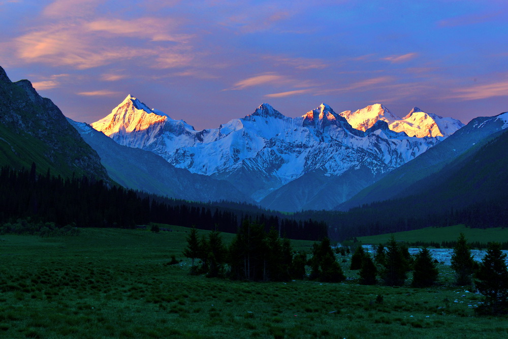 ������   ������