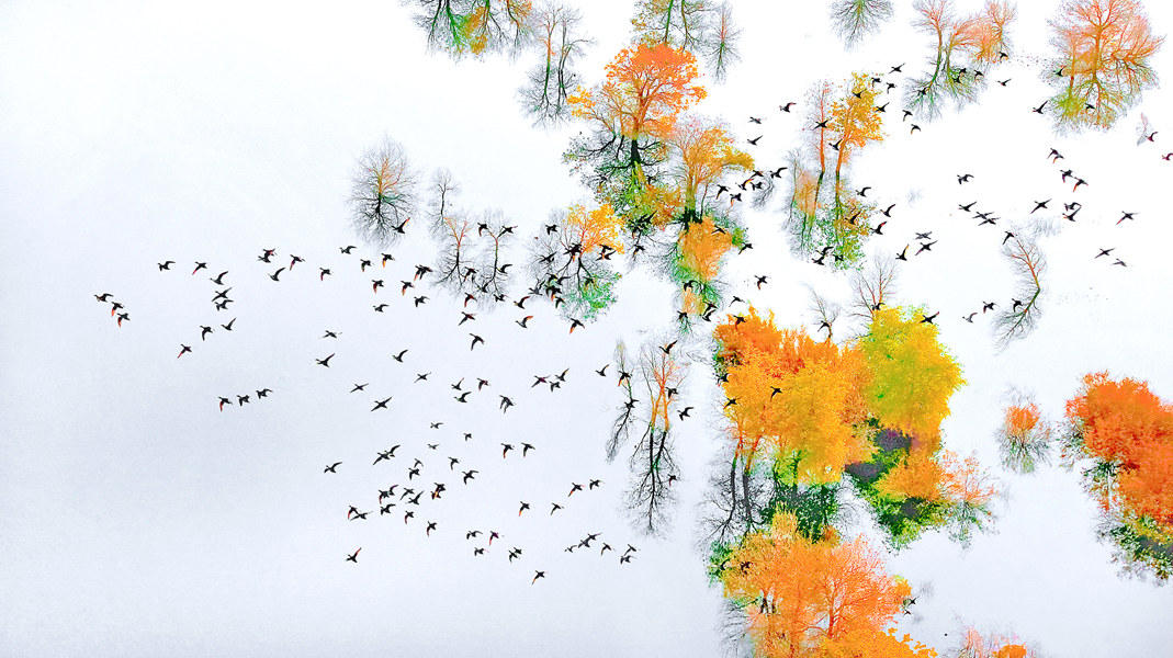 1.������Ӱ������   ����ӭ��   ��Ӱ   ��־��_.jpg