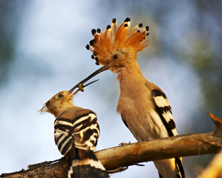 5.������Ӱ�����㽱   ��   ��Ӱ   ������.jpg