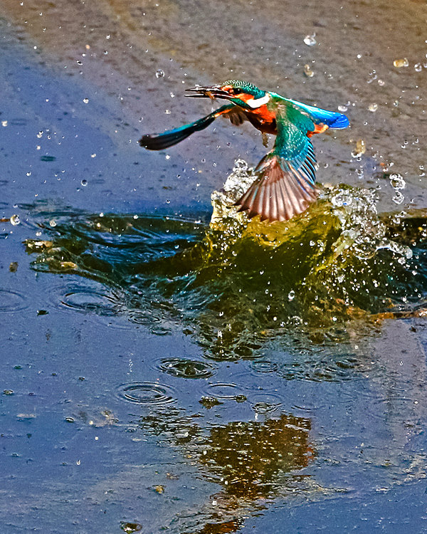 6.������Ӱ�����㽱   �˻�����   ��Ӱ   �ַ�.jpg