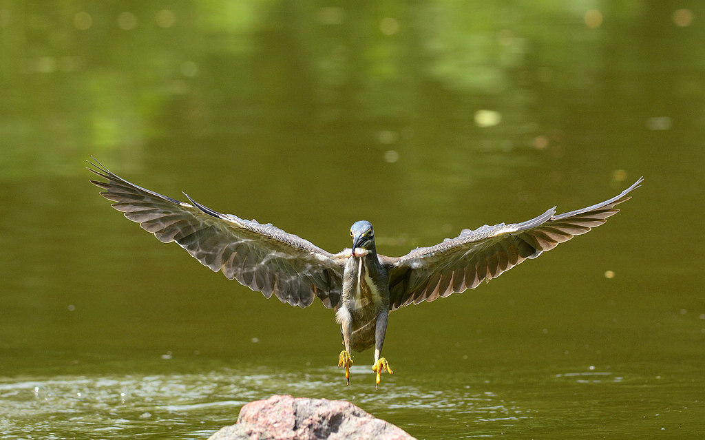 DSC_5483.jpg