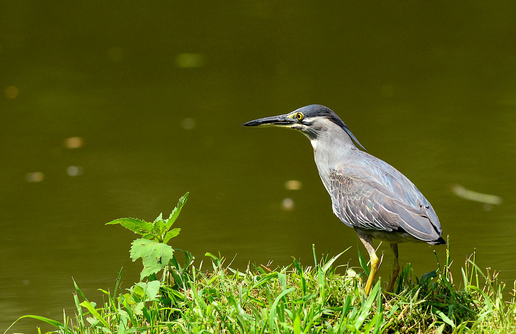 DSC_5565.jpg