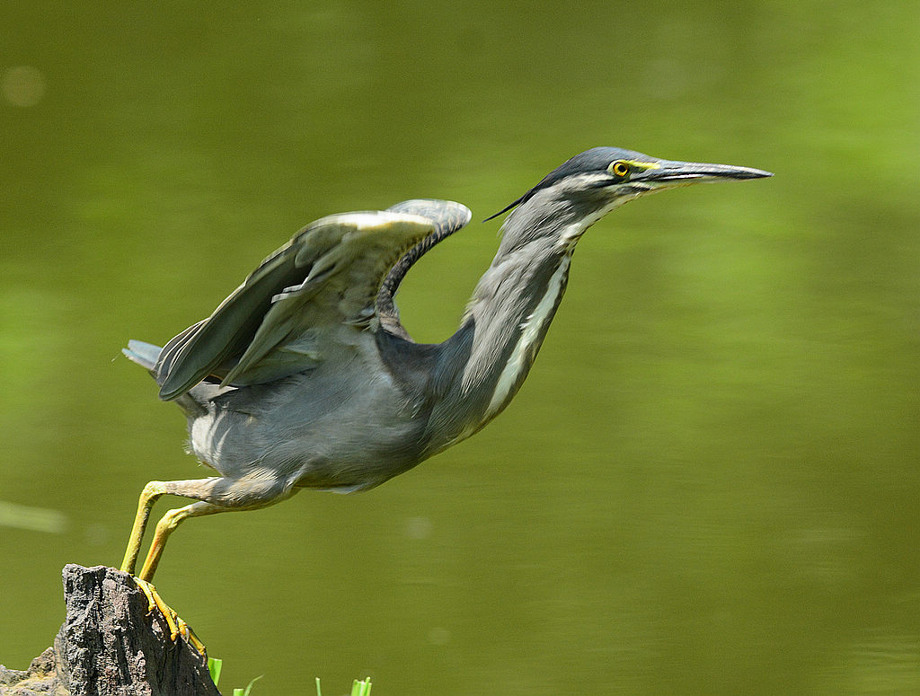 DSC_5581.jpg