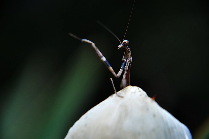 DSC_0033.JPG