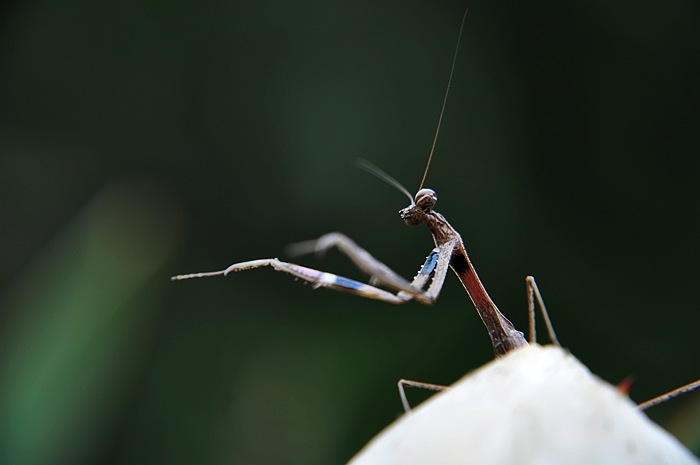 DSC_0034.JPG