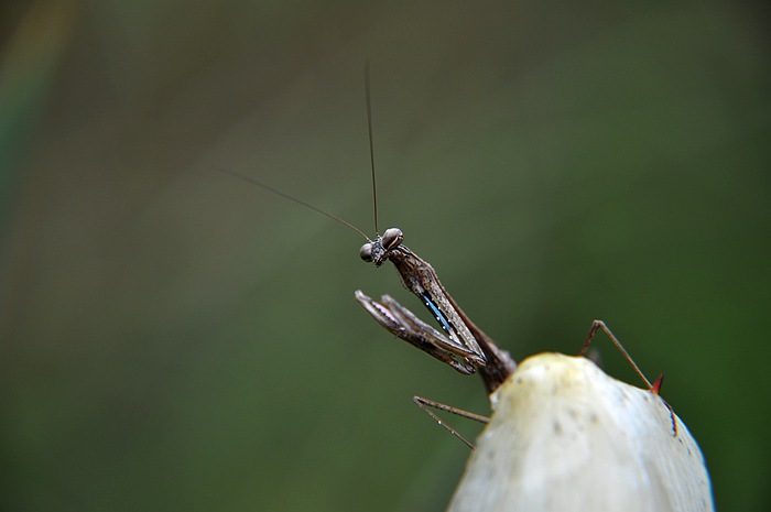 DSC_0039.JPG