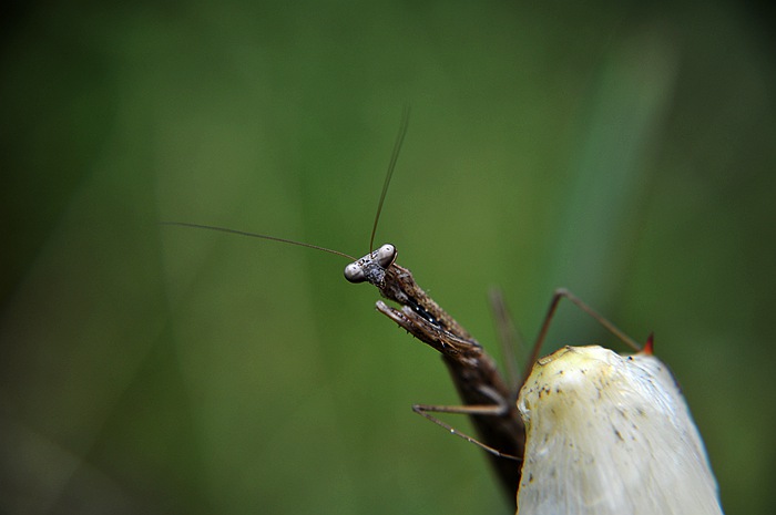 DSC_0040.JPG