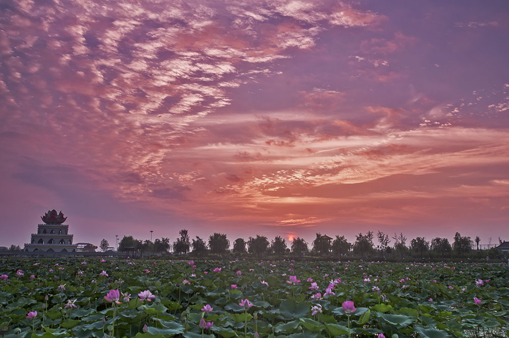 _B6A6452-0.jpg