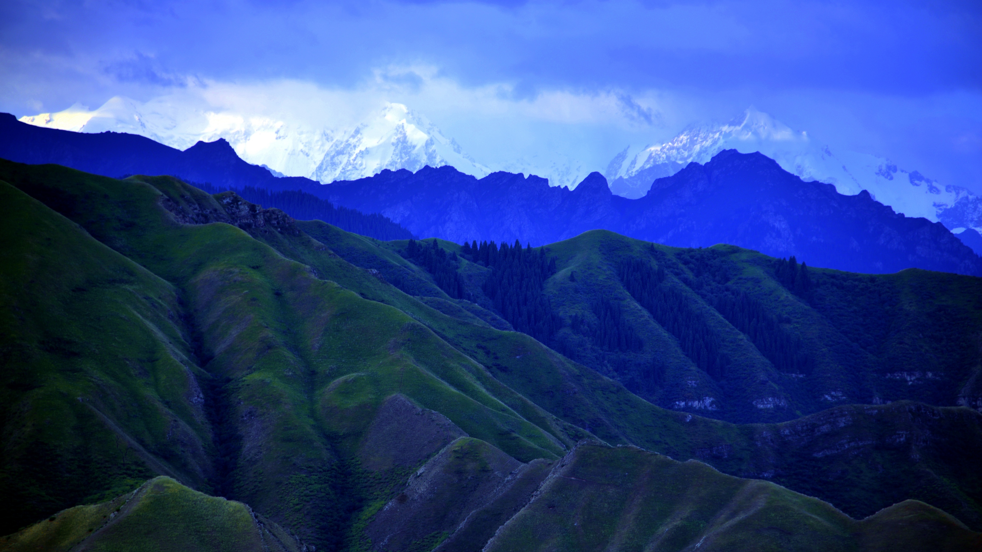 _DSC7683.jpg