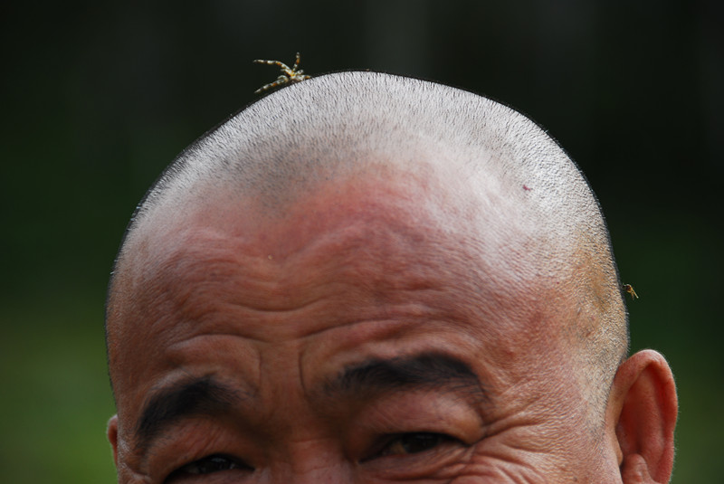 SZH_0739_.jpg