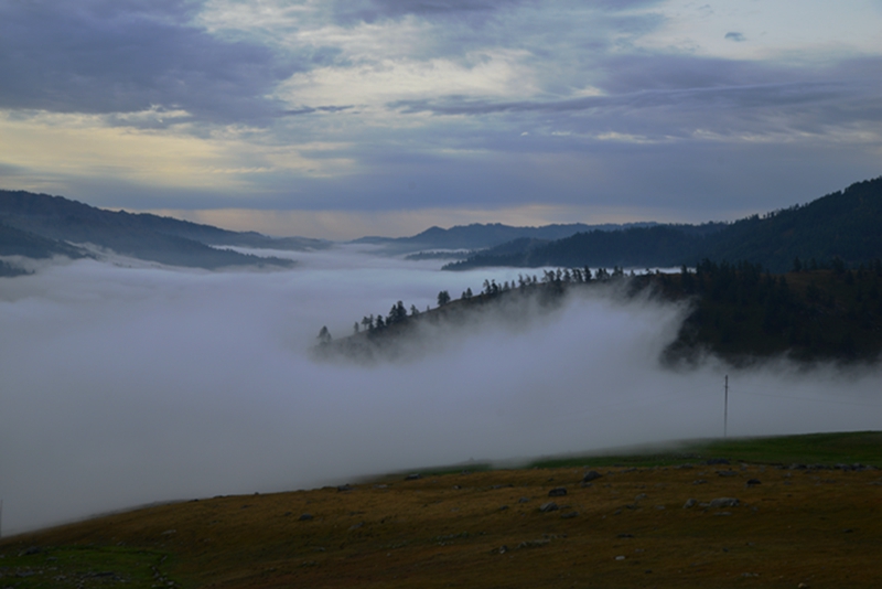 DSC_3926_.jpg