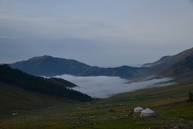 DSC_3976_.jpg