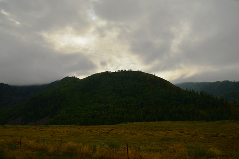 DSC_4047_.jpg