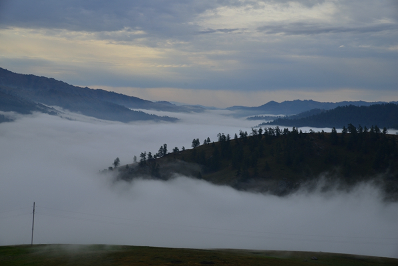 DSC_3921_.jpg