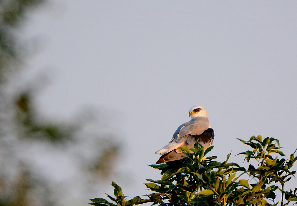 DSC_2573.jpg
