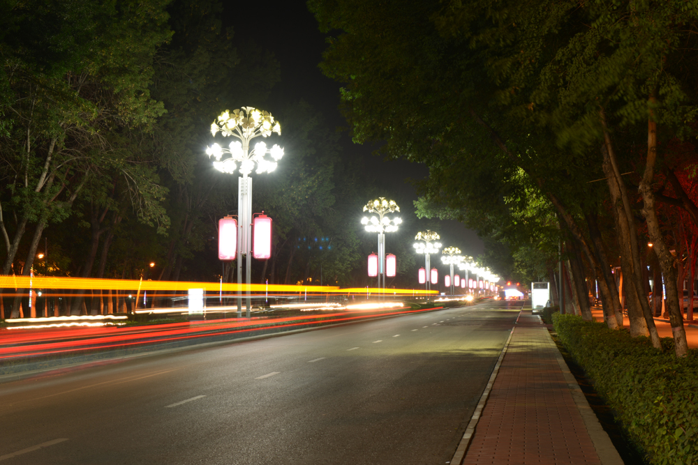 DSC_8132.JPG