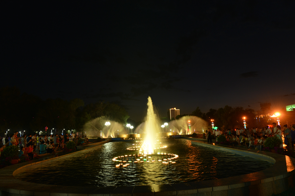 DSC_8246.JPG