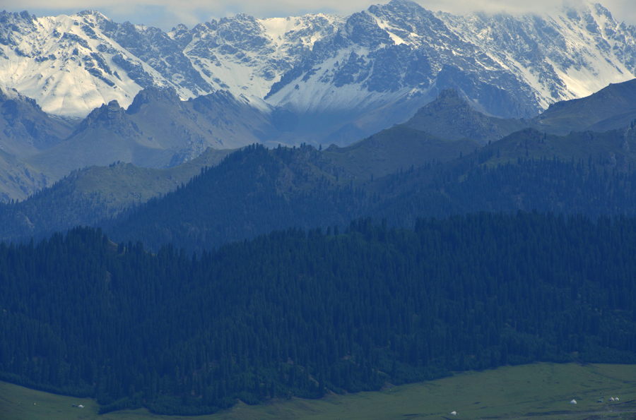 _DSC0096.jpg