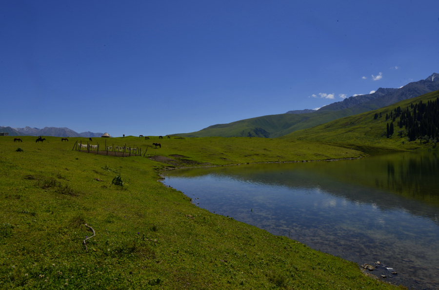 _DSC0132.jpg