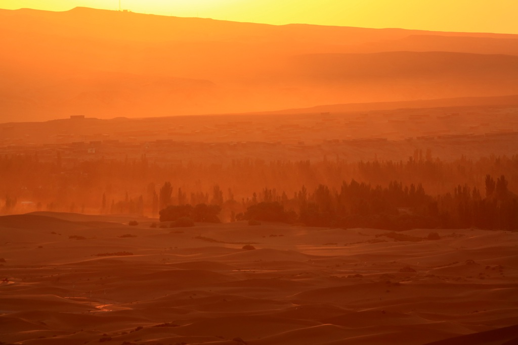 050C2663_.jpg