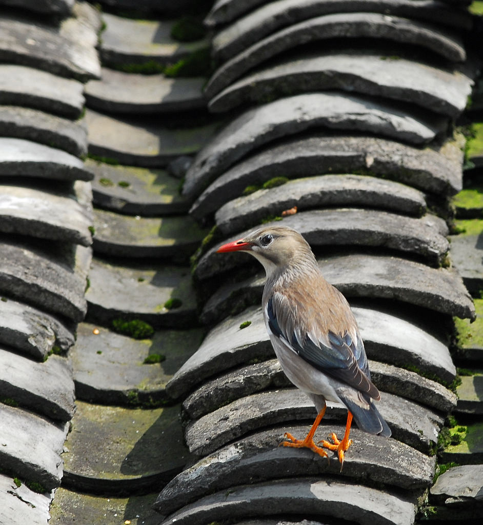 7DSC_0558.jpg