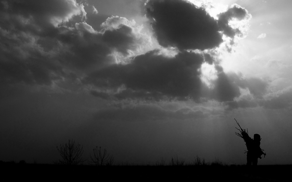 P4021938sza.jpg